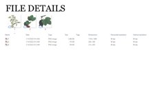 Culinary-Roots Vintage Vegetable Botanical Clip Art Product Image 3