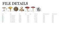 Mushrooms Vintage Vegetable Botanical Clip Art Product Image 2