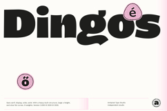 Dingos | Energetic Sans 9 Weights Product Image 1