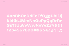 Dingos | Energetic Sans 9 Weights Product Image 3