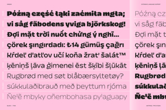 Dingos | Energetic Sans 9 Weights Product Image 6