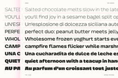 Dingos | Energetic Sans 9 Weights Product Image 8