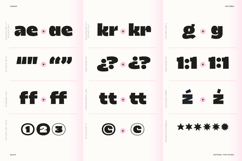 Dingos | Energetic Sans 9 Weights Product Image 9