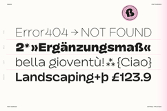 Dingos | Energetic Sans 9 Weights Product Image 11