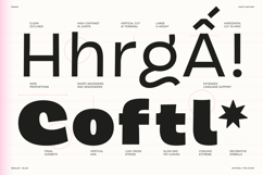 Dingos | Energetic Sans 9 Weights Product Image 12