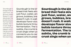 Dingos | Energetic Sans 9 Weights Product Image 14