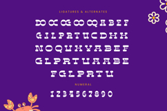 Disco Groov - Playful Serif Font Product Image 18