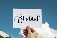 The Beach Product Image 3