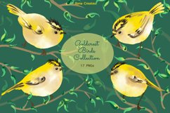 Emerald Green Goldcrest Birds Clip Art Illustrations Set Product Image 1