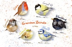 Watercolor Cute Procreate Garden Birds Clip Art Collection Product Image 1