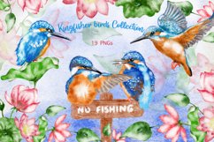 Watercolor Kingfisher Birds Clip Art Collection Product Image 1