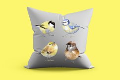 Watercolor Cute Procreate Garden Birds Clip Art Collection Product Image 3