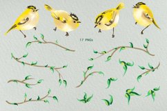 Emerald Green Goldcrest Birds Clip Art Illustrations Set Product Image 4