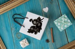 Watercolor Procreate Fluffy Black Cats Clip Art Set Product Image 4