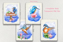 Watercolor Kingfisher Birds Clip Art Collection Product Image 6