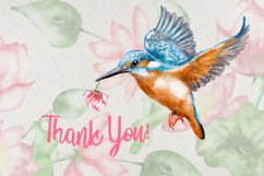 Watercolor Kingfisher Birds Clip Art Collection Product Image 7