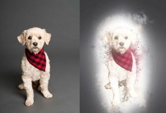 Dispersion Photo Background Plugin Product Image 7