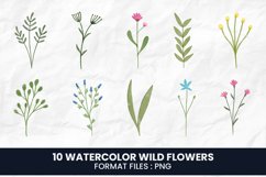 Watercolor Wild Flowers | 10 variations Product Image 1