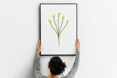 Watercolor Wild Flowers | 10 variations Product Image 2