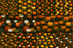 Pumpkin Harvest Seamless Pattern Product Image 2