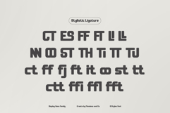 Satuva - Family Sans Serif Font Product Image 9