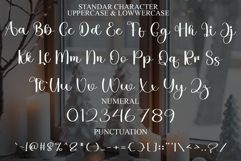 Display Product Image 7