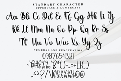 Display Product Image 5