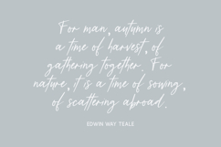 Distillery Script Product Image 2