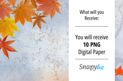 Digital Paper Distressed Autumn Background Product Image 4