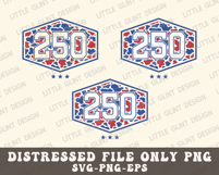 Camo 250th USA Svg Png, Boy 4th of july Png, American 250 Product Image 4