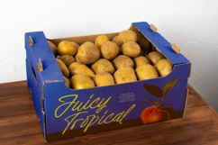 Distyan Stovilky Handwritten Brush Product Image 5