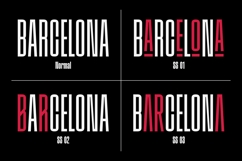 Division Grotesk Font Family Product Image 11