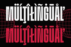 Division Grotesk Font Family Product Image 12