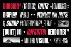 Division Grotesk Font Family Product Image 6
