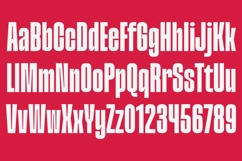 Division Grotesk Font Family Product Image 8