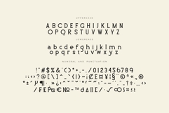 Djore - Serif Typeface Minimal Font Product Image 10