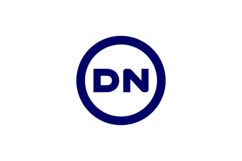 DN Logo design Product Image 1