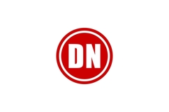DN Logo Design. DN Product Image 1