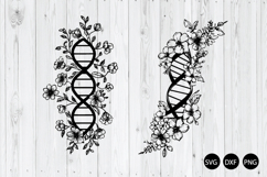 DNA molecule SVG, Flower DNA SVG, Double Helix SVG Product Image 1