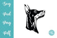 Doberman SVG cut file, Doberman svg design Product Image 1
