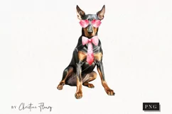 Valentine Doberman Dog PNG | Valentine's Day Clipart Product Image 1