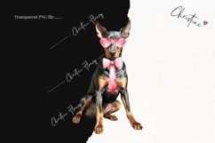 Valentine Doberman Dog PNG | Valentine's Day Clipart Product Image 2
