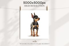 Doberman Cute Puppy Baby Dog Animals Clipart PNG Scrapbooking Watercolor  Transparent Print for invitation t-shirt designs sublimation kids printable digital watercolor Baby dog png, watercolor doberman puppy clipart, sublimation nursery drawing