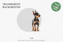 Doberman Cute Puppy Baby Dog Animals Clipart PNG Scrapbooking Watercolor  Transparent Print for invitation t-shirt designs sublimation kids printable digital watercolor Baby dog png, watercolor doberman puppy clipart, sublimation nursery drawing