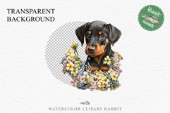 Doberman Cute Puppy Baby Dog Animals Clipart PNG Scrapbooking Watercolor  Transparent Print for invitation t-shirt designs sublimation kids printable digital watercolor Baby dog png, watercolor doberman puppy clipart, sublimation nursery drawing