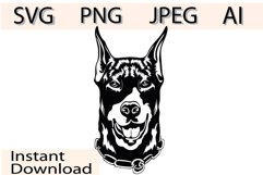 Doberman dog/Dog Svg/Png/Jpg/Ai/Vector purebred breed/Pet Product Image 1