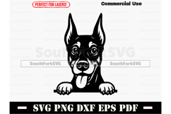 Peeking Dobermann Pinscher Dog SVG PNG DXF EPS PDF Product Image 1