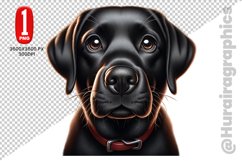 Cute Dog Clipart - PNG File Product Image 1