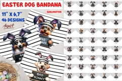 Easter dog bandana sublimation bundle Quote Bad bunny PNG Product Image 1