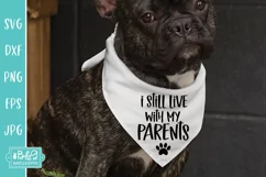 I Still Live With My Parents SVG for Cricut or Silhouette